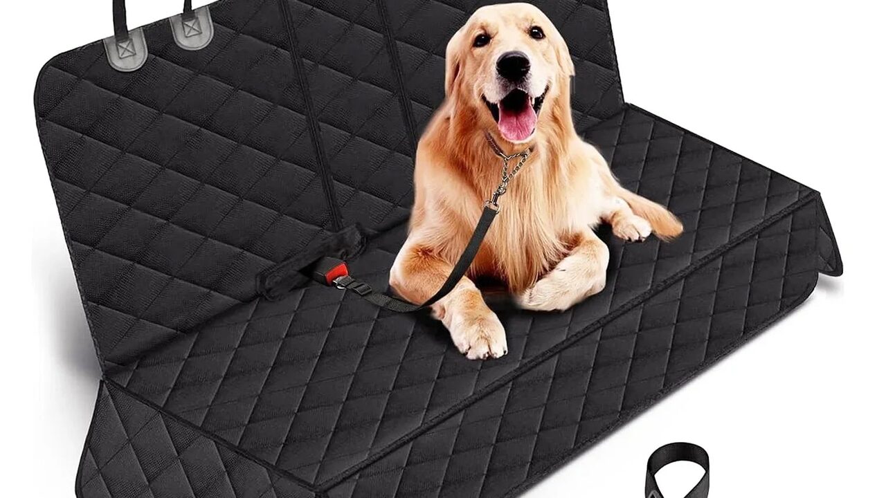 Dog seat cover guide image